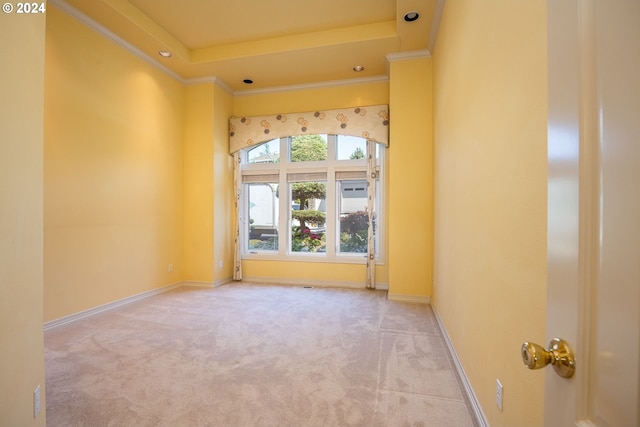 carpeted spare room featuring baseboards, ornamental molding, and a tray ceiling