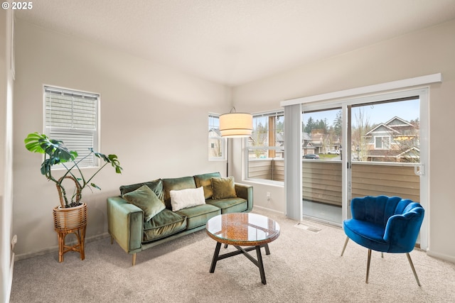 living room with carpet floors