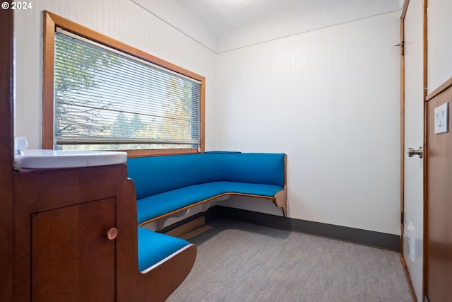 living area with light carpet and a textured ceiling