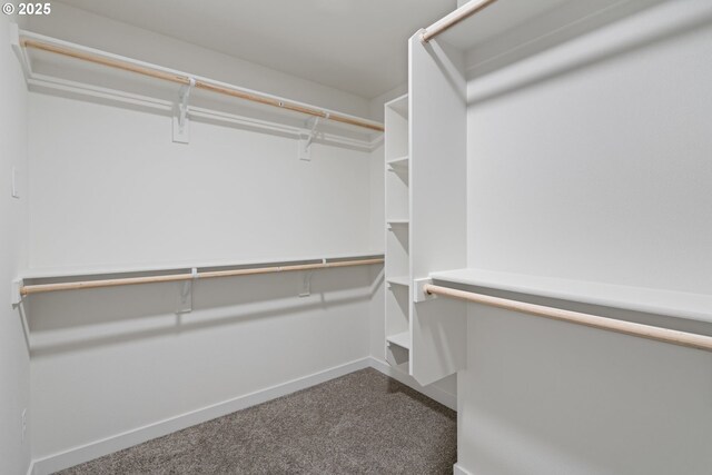 11116 NE 91st Ave, Vancouver, WA 98662 - spacious closet featuring dark carpet