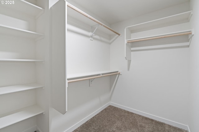 11116 NE 91st Ave, Vancouver, WA 98662 - spacious closet with dark carpet