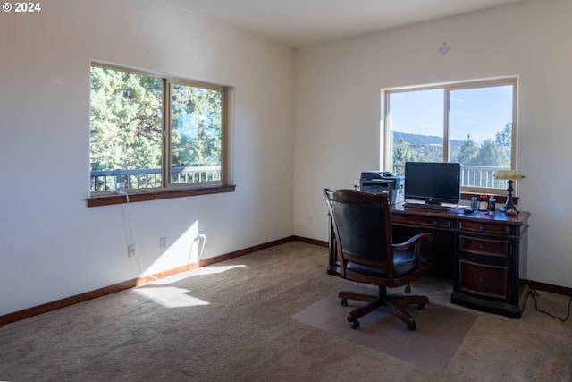 office space with light carpet