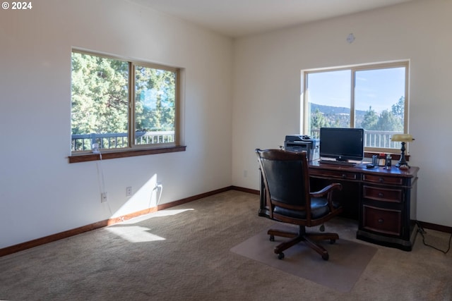 31367 Clarks Creek Rd, Mount Vernon, OR 97865 - office with plenty of natural light, carpet floors, and baseboards