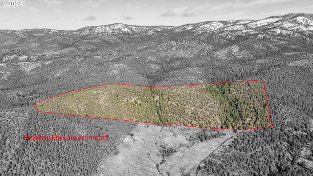 31367 Clarks Creek Rd, Mount Vernon, OR 97865 - aerial view of property's location with mountains and property boundaries highlighted