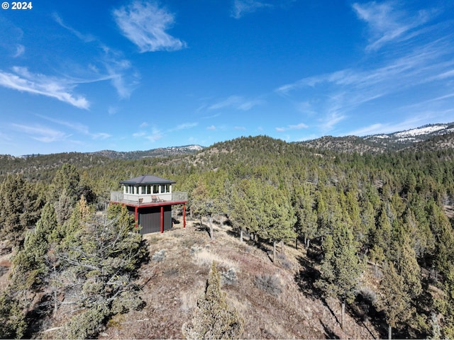 31367 Clarks Creek Rd, Mount Vernon, OR 97865 - view of mountain background with a heavily wooded area