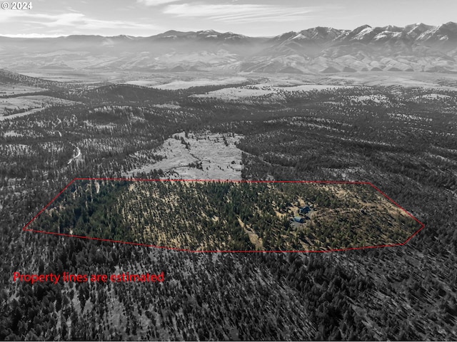 snowy aerial view featuring a mountain view