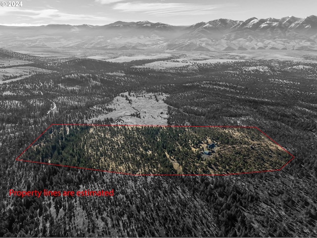 31367 Clarks Creek Rd, Mount Vernon, OR 97865 - view of property location featuring mountains and property parcel outlined