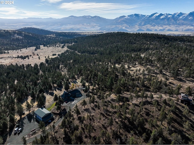 31367 Clarks Creek Rd, Mount Vernon, OR 97865 - aerial view of property's location featuring a mountain backdrop and a forest