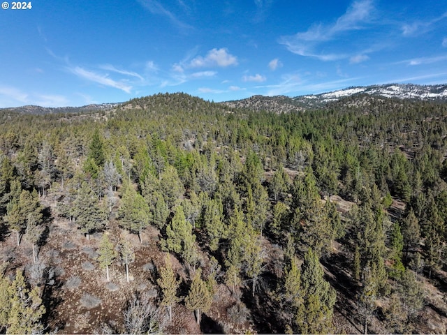 31367 Clarks Creek Rd, Mount Vernon, OR 97865 - view of mountain backdrop featuring a heavily wooded area