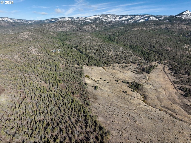 view of mountain feature