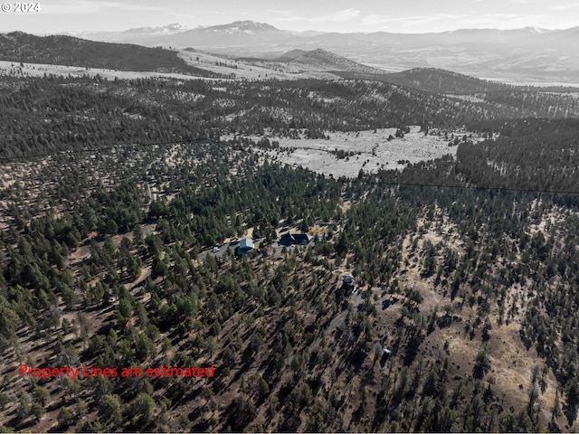 31367 Clarks Creek Rd, Mount Vernon, OR 97865 - view of property location with mountains
