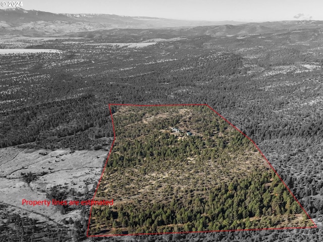 31367 Clarks Creek Rd, Mount Vernon, OR 97865 - aerial overview of property's location featuring mountains and property parcel outlined