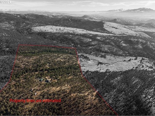 31367 Clarks Creek Rd, Mount Vernon, OR 97865 - view of property location with mountains and property parcel outlined