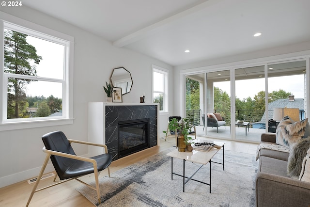 living room featuring a premium fireplace, a wealth of natural light, and light hardwood / wood-style floors