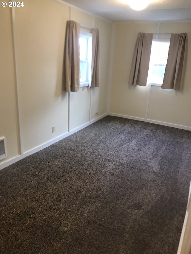 spare room featuring plenty of natural light and carpet flooring