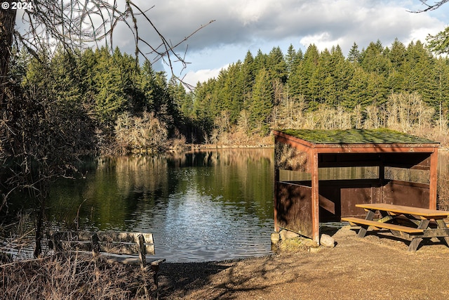 dock area with a water view