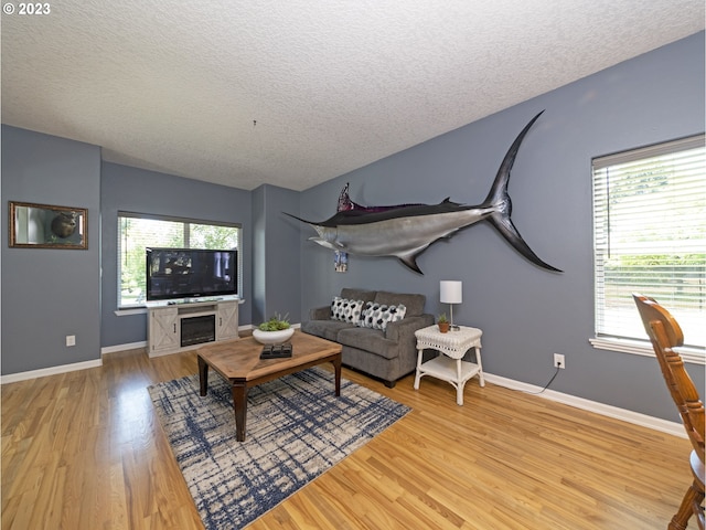 living room with a textured ceiling and light hardwood / wood-style flooring