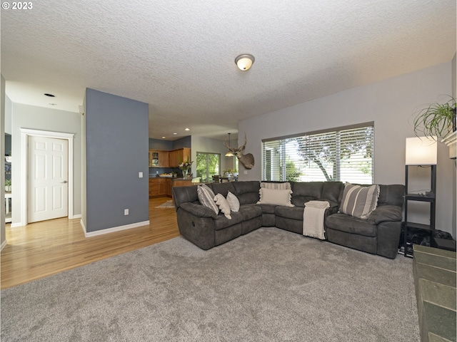 living room with light carpet and a textured ceiling