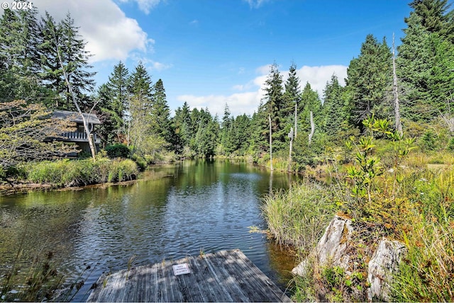 view of dock featuring a water view