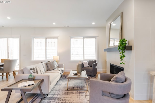 living room featuring light wood-type flooring and a fireplace