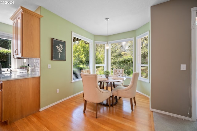 dining room featuring plenty of natural light and light hardwood / wood-style flooring