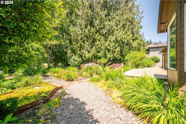 view of yard featuring a deck