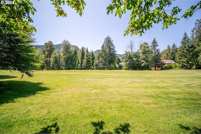 view of yard featuring a mountain view