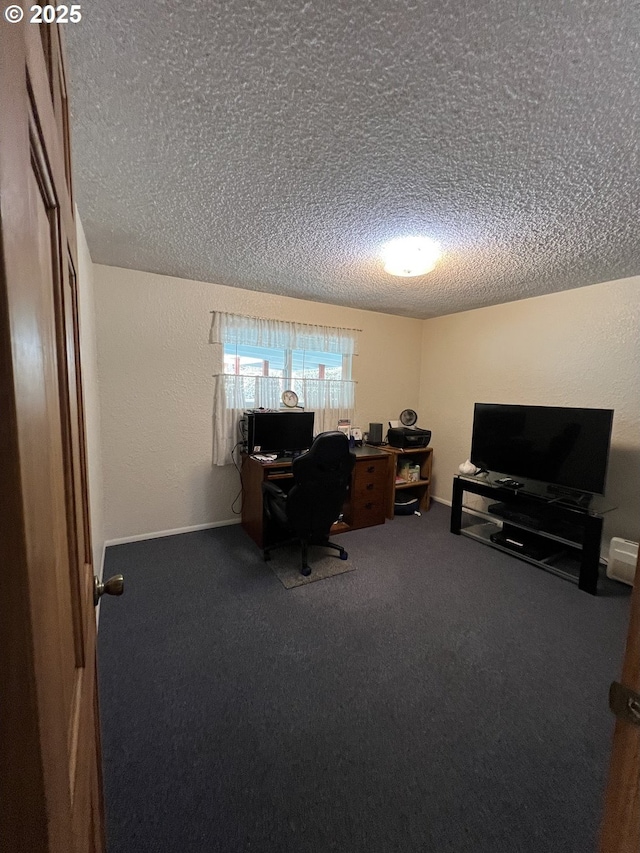 carpeted office space with a textured ceiling