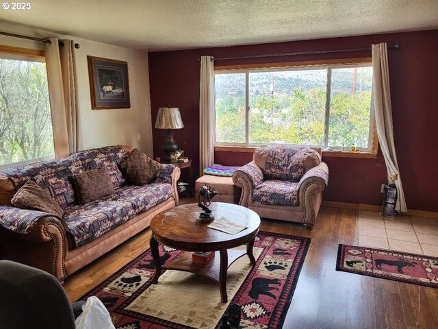 living room with hardwood / wood-style floors and a textured ceiling