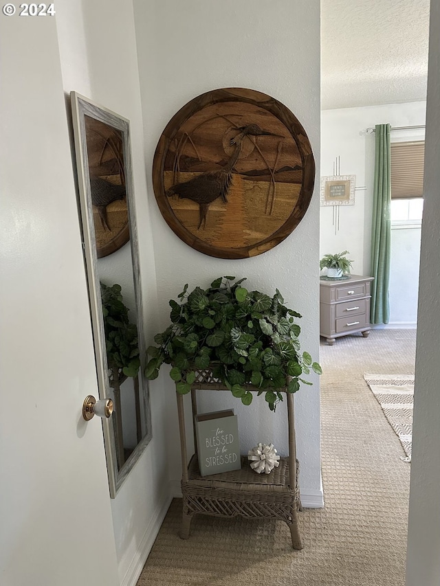 interior space with light colored carpet and a textured ceiling