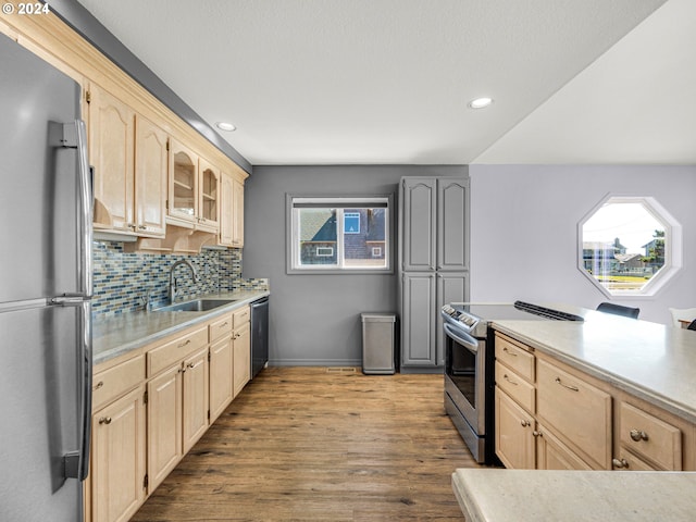 kitchen featuring a healthy amount of sunlight, sink, wood-type flooring, and stainless steel appliances