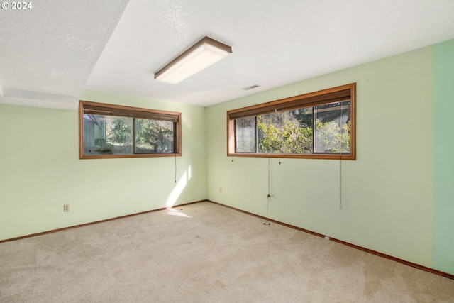 spare room featuring light colored carpet and a textured ceiling