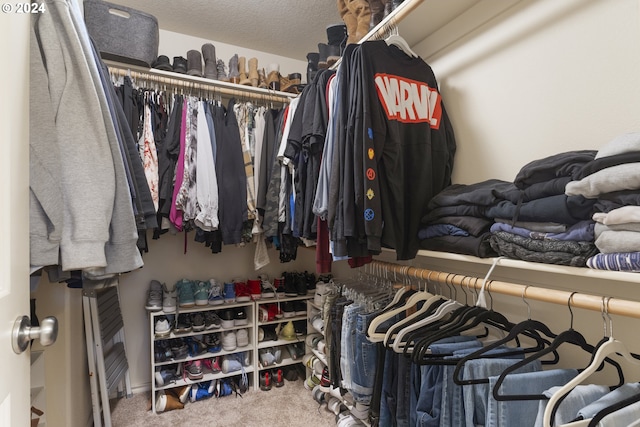 spacious closet with carpet