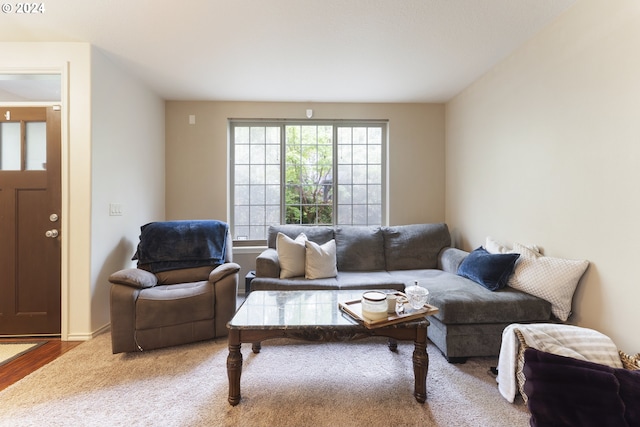 living room featuring hardwood / wood-style floors