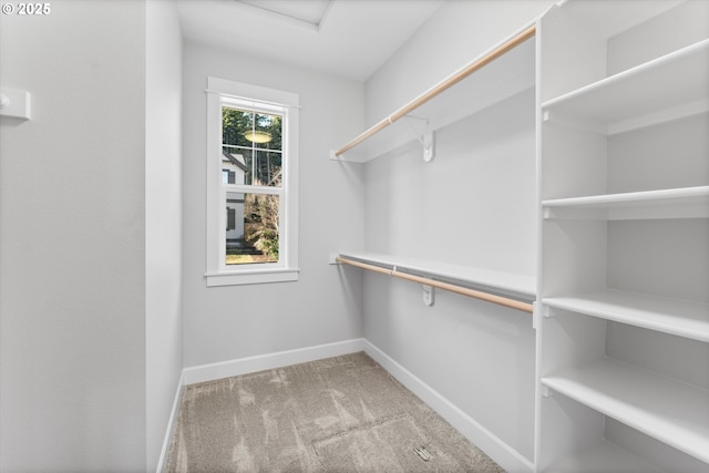 walk in closet featuring light carpet