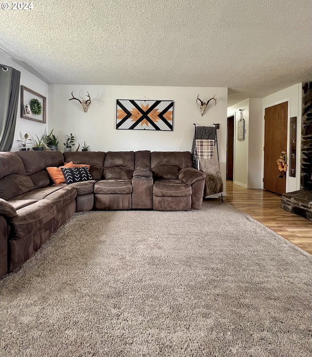 living room with hardwood / wood-style floors and a textured ceiling