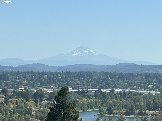 view of mountain feature with a water view