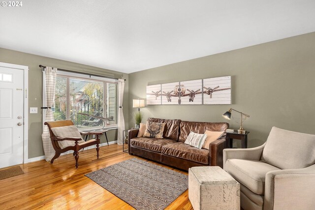 living room featuring hardwood / wood-style flooring