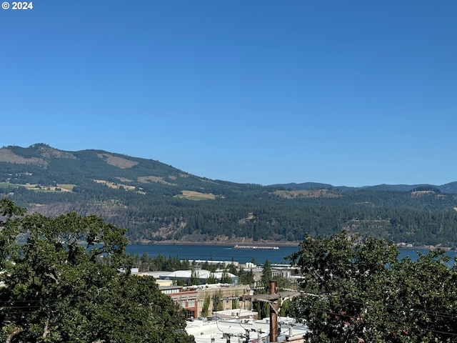 property view of mountains with a water view