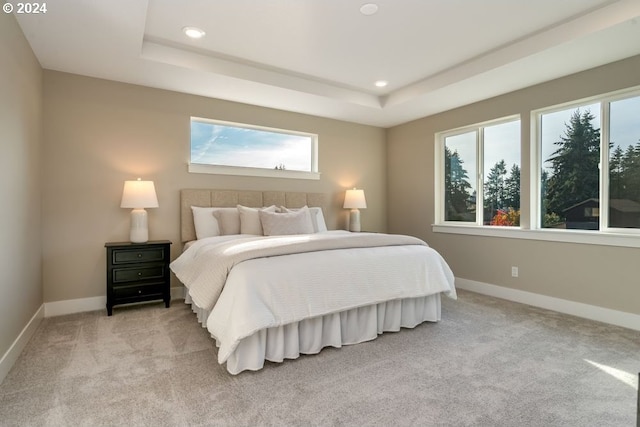 carpeted bedroom featuring a tray ceiling