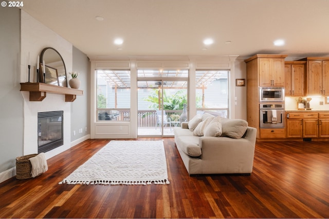 living room with dark wood-type flooring