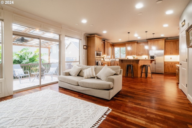 living room featuring sink and dark wood-type flooring