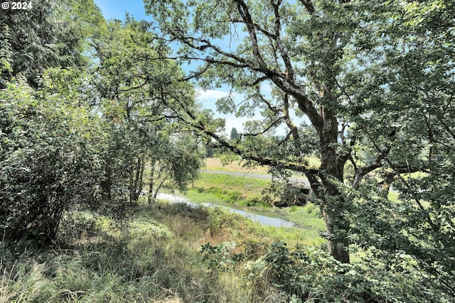 view of local wilderness with a water view