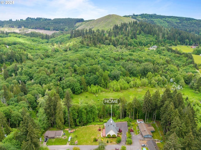 drone / aerial view with a view of trees and a mountain view