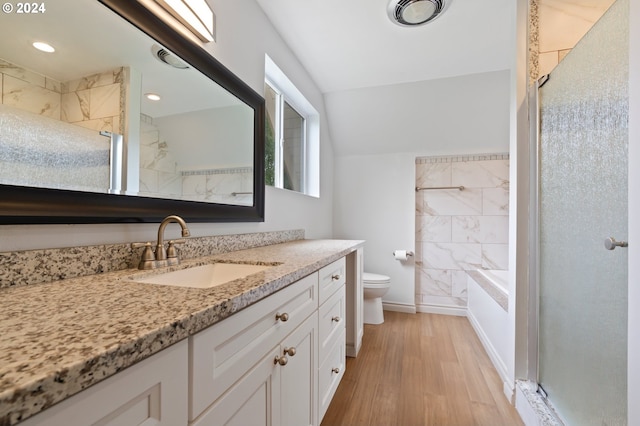 bathroom featuring vanity, toilet, and hardwood / wood-style flooring