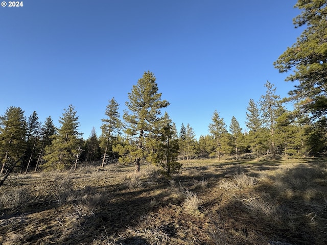 view of local wilderness