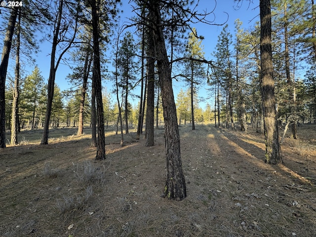 view of mother earth's splendor