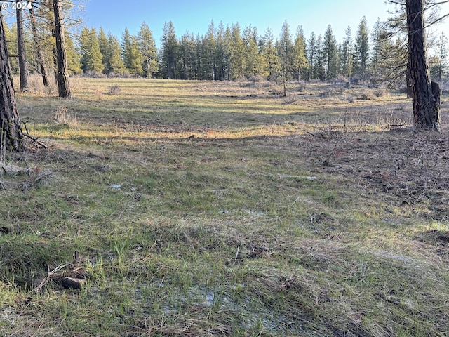 view of local wilderness with a rural view