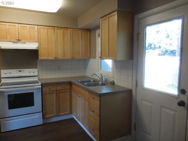 kitchen with sink, backsplash, dark hardwood / wood-style floors, range hood, and white range with electric cooktop