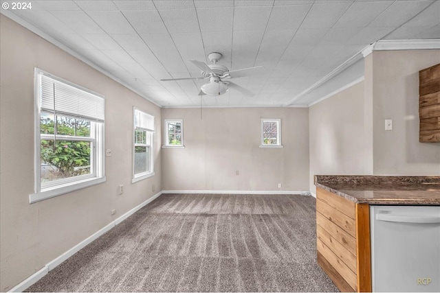 interior space with ceiling fan, crown molding, and carpet flooring